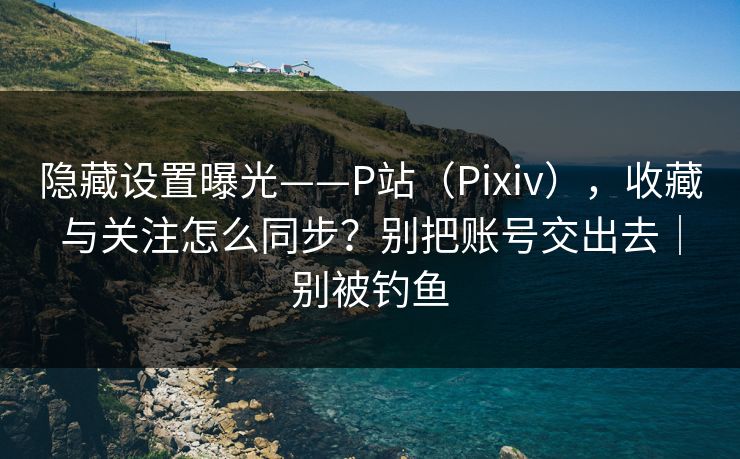 隐藏设置曝光——P站（Pixiv），收藏与关注怎么同步？别把账号交出去｜别被钓鱼