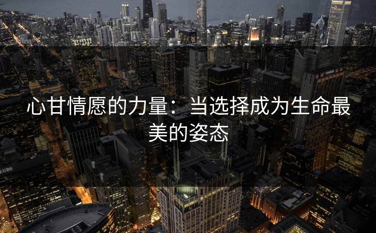 心甘情愿的力量：当选择成为生命最美的姿态