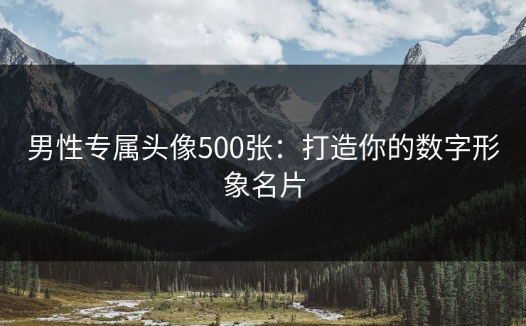 男性专属头像500张：打造你的数字形象名片