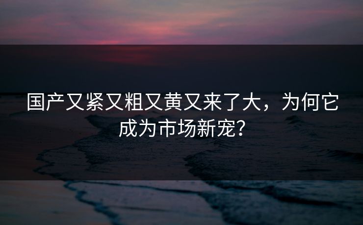 国产又紧又粗又黄又来了大，为何它成为市场新宠？