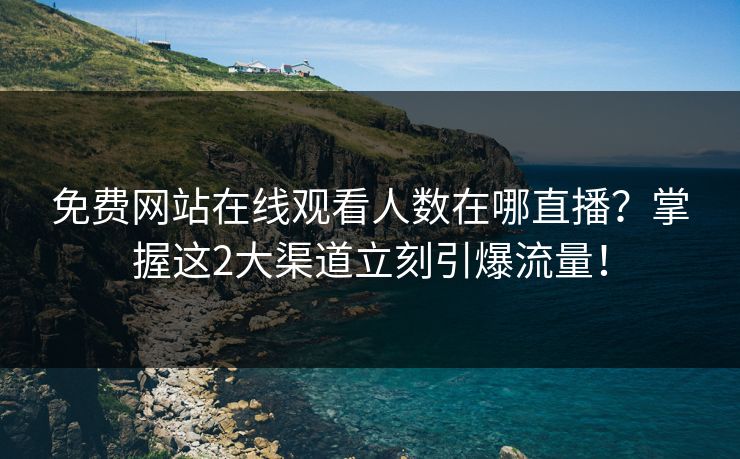 免费网站在线观看人数在哪直播？掌握这2大渠道立刻引爆流量！