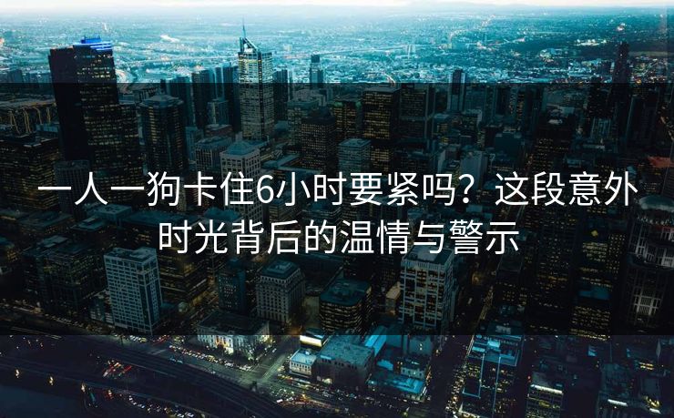 一人一狗卡住6小时要紧吗？这段意外时光背后的温情与警示