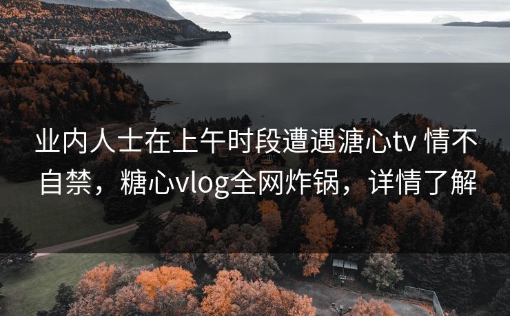 业内人士在上午时段遭遇溏心tv 情不自禁，糖心vlog全网炸锅，详情了解