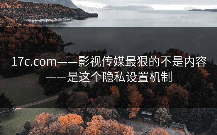 17c.com——影视传媒最狠的不是内容——是这个隐私设置机制