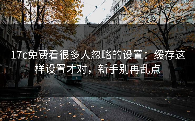 17c免费看很多人忽略的设置:缓存这样设置才对,新手别再乱点